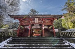 原神在荒废神社中继续调查任务攻略原神在荒废神社中继续调查的任务怎么完成