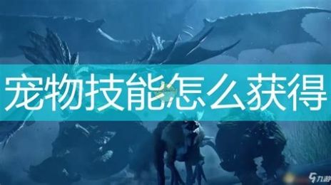 重生长公主的日常全技能学习方法全技能学习方法一览