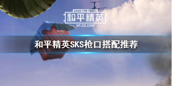 《和平精英》SKS用什么枪口好