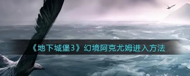 地下城堡3阿克尤姆下一关怎么去 什么技能好用