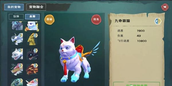 创造与魔法小猫咪怎么抓