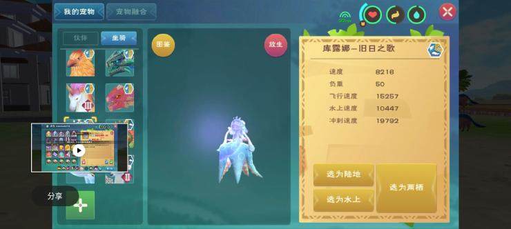 创造与魔法里乌龟吃什么