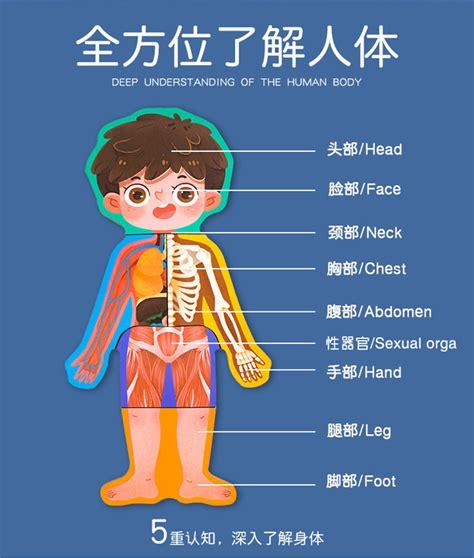 身体游戏有哪些