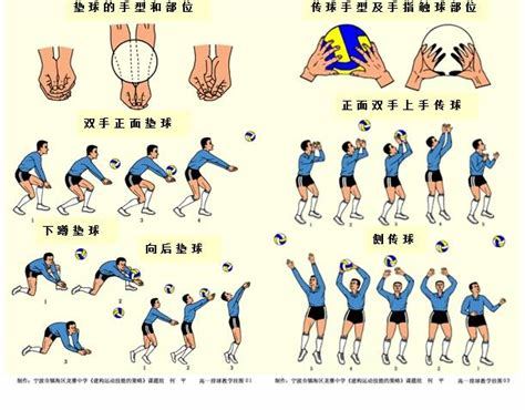 如何玩排球：规则与技巧解析