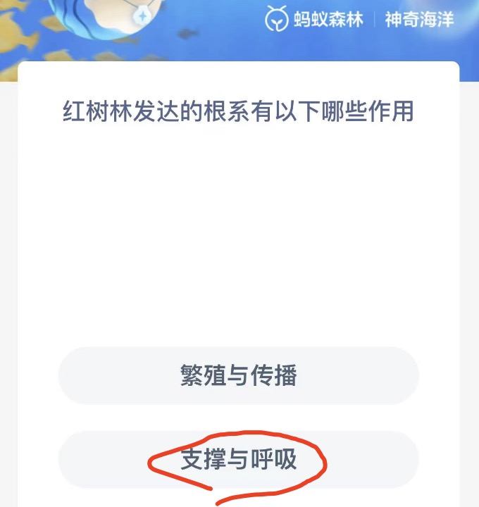 《支付宝》神奇海洋科普问答答案11.23