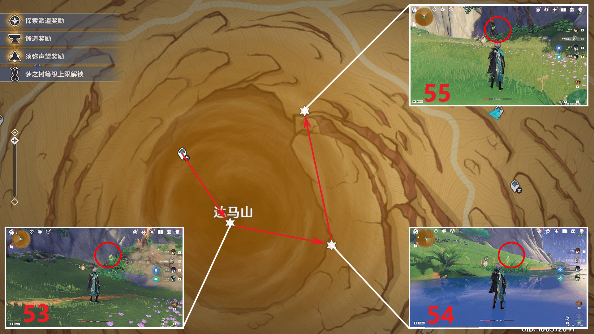 达马山草神瞳分布图