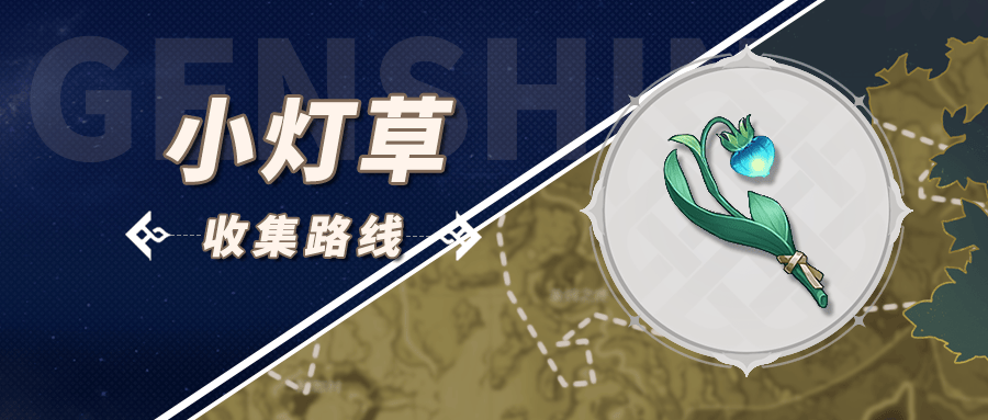 小灯草采集地点