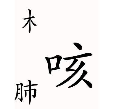 《汉字魔法》咳嗽怎么玩