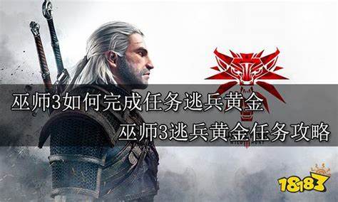 如何深度攻略《巫师领域轮回》：攻略要点揭秘