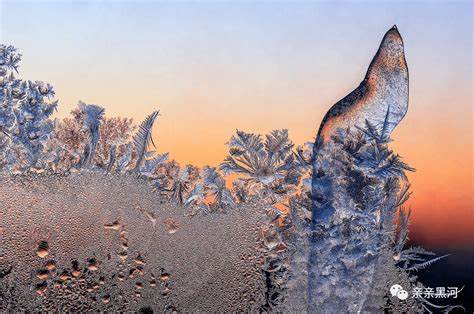 雪窗花在何方绽放揭秘雪日奇观与手游玩法的奇妙结合