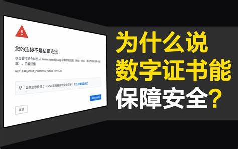 如何选择最佳地震预警App，保障你的安全