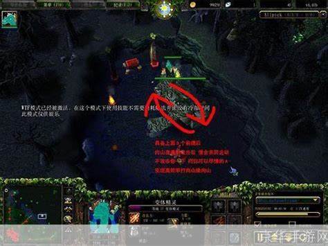 DOTAIMBA中如何有效使用卡辛娜