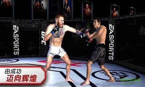 UFC终极格斗冠军赛2010手游玩法攻略，如何成为格斗霸主