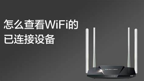 如何选择最佳的WiFi连接设备