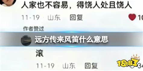 《远方传来的风暴》网络热梗解析与游戏攻略有何关联