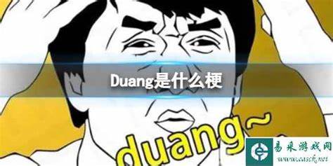 Duang是什么梗Duang游戏攻略详解