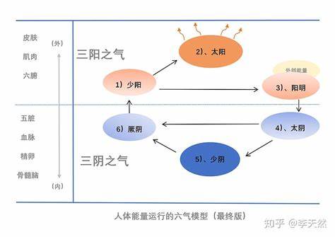 游戏中的“暖阳”有何作用其神奇功效与奇用解析