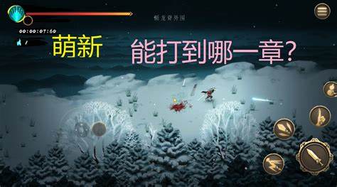 如何玩转《碧雪寒冰人》单人版挑战极限，体验奇遇吧！