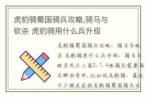 《策马与虎豹》攻略解析，如何高效升级