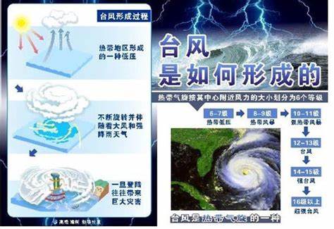 如何高效攻略《台风雨花径》详解攻略与玩法