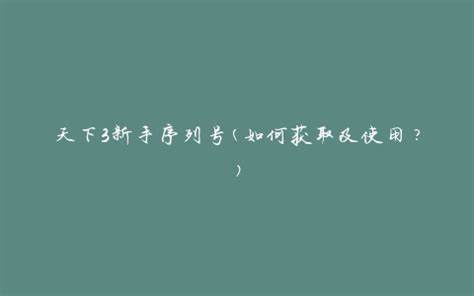 如何获取《天之下》新手序列号及游戏玩法攻略