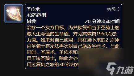 如何成为一名顶级猎豹骑手，掌握猎豹骑术技巧