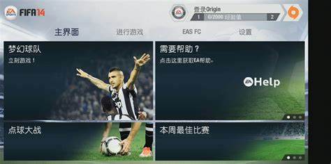 FIFA14如何避免闪退，确保游戏体验的秘密技巧