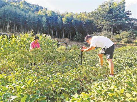 如何体验《明显小短假》的田园生活