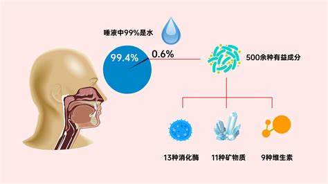 人体唾液的独特味道究竟是什么揭秘人体唾液之奥秘