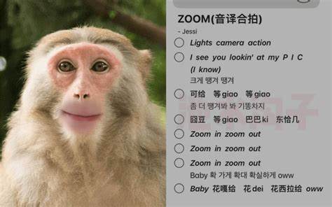 Zoom动物：如何探索这个神秘的动物世界