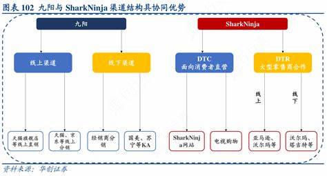 如何深入挖掘九阳数据数据库，打造你的九阳传承奇遇