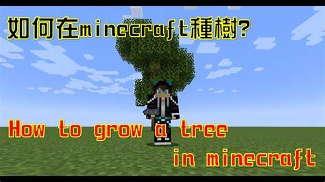 如何在Minecraft中安装Abbons资源包