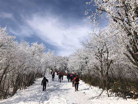 杭州去龙王山怎么去最快