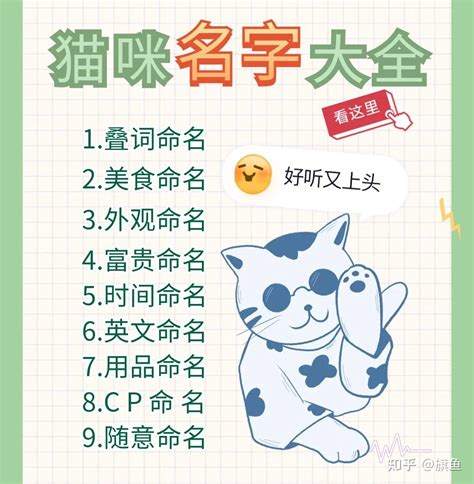 猫叫什么名字好听又招财