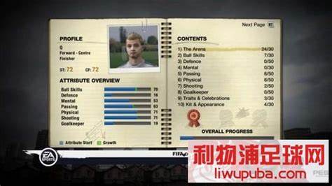 《FIFA11》虚拟球员成就翻译