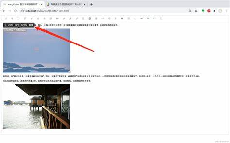 wangeditor富文本编辑器给图片追加了amp
