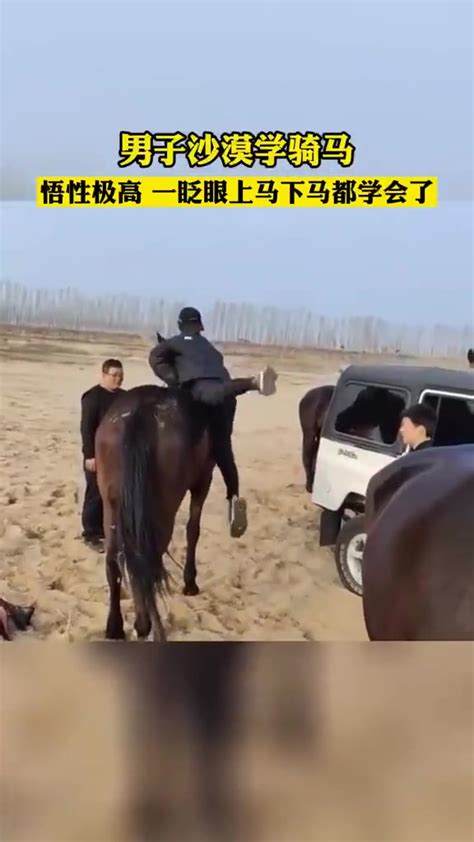 骑马怎么上马和下马