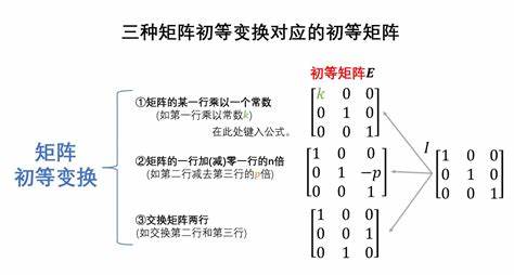 初等矩阵一共有多少种