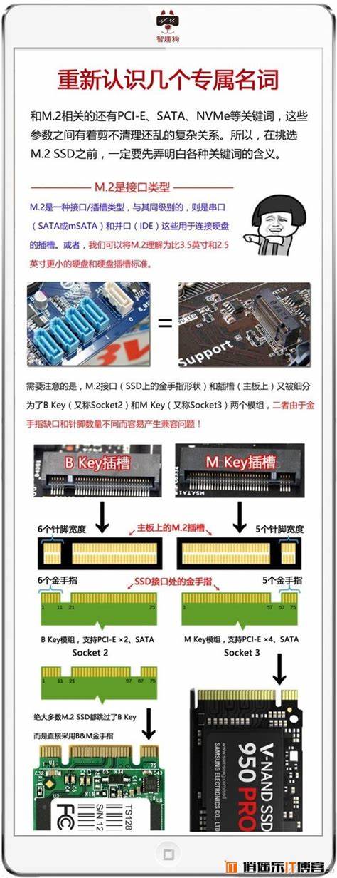 sata接口和m2区别