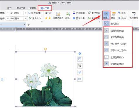 在Word中如何灵活移动图片技巧大揭秘