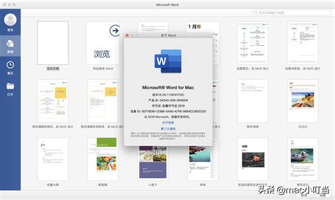 如何在Mac版Word中删除指定页面和页眉的详细步骤